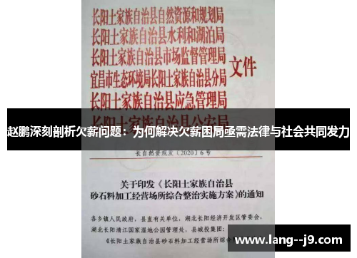 赵鹏深刻剖析欠薪问题：为何解决欠薪困局亟需法律与社会共同发力