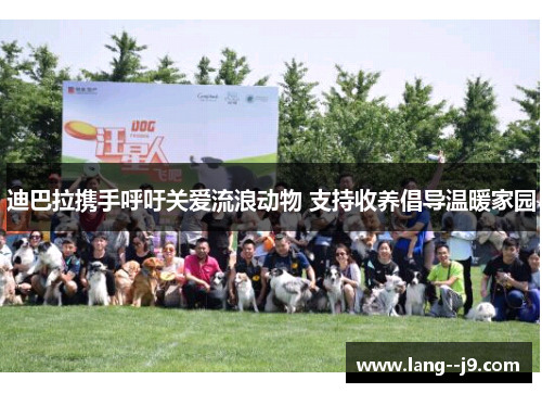 迪巴拉携手呼吁关爱流浪动物 支持收养倡导温暖家园