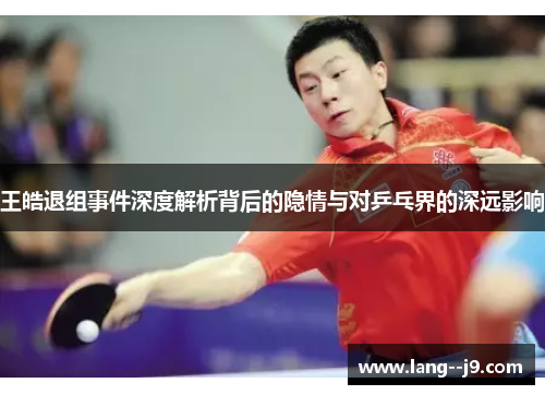 王皓退组事件深度解析背后的隐情与对乒乓界的深远影响