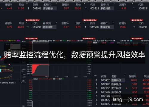 赔率监控流程优化，数据预警提升风控效率